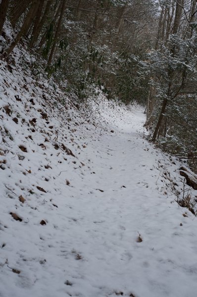 The trail as it climbs away from the trailhead.