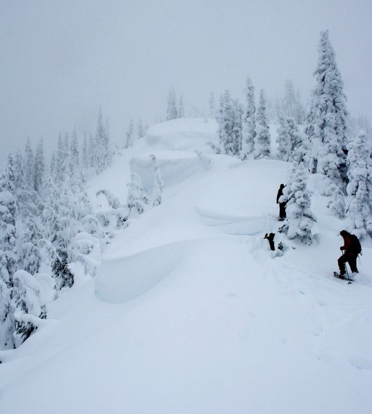 Snowshoeing up to Hurricane Hill on a snowy winter day.