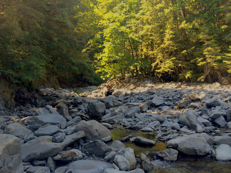 Elip Creek in the summer.