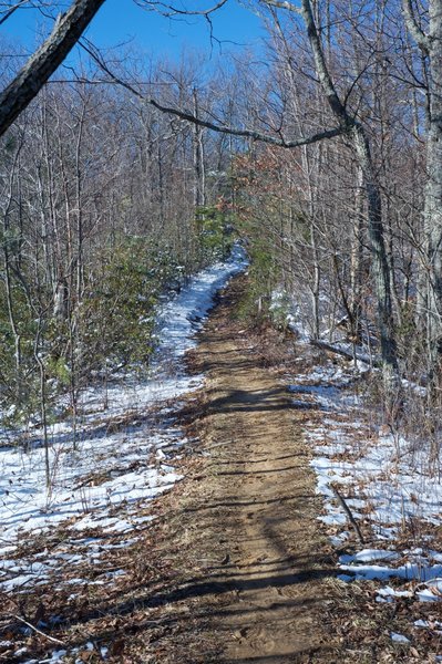 The trail narrows a bit in this section. It's primarily dirt at this point.