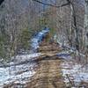 The trail narrows a bit in this section. It's primarily dirt at this point.