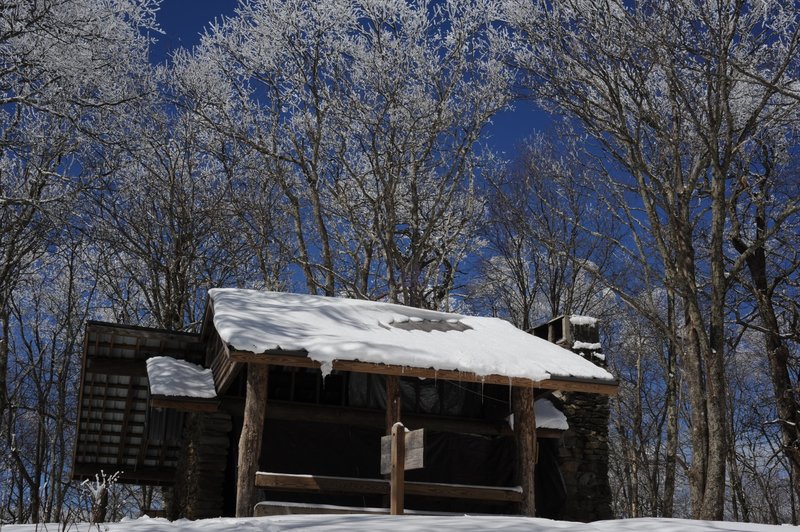Snow covered shelter and trees set against a beautiful blue sky.