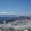 The North Carolina side of the Smokies from Spence Field.