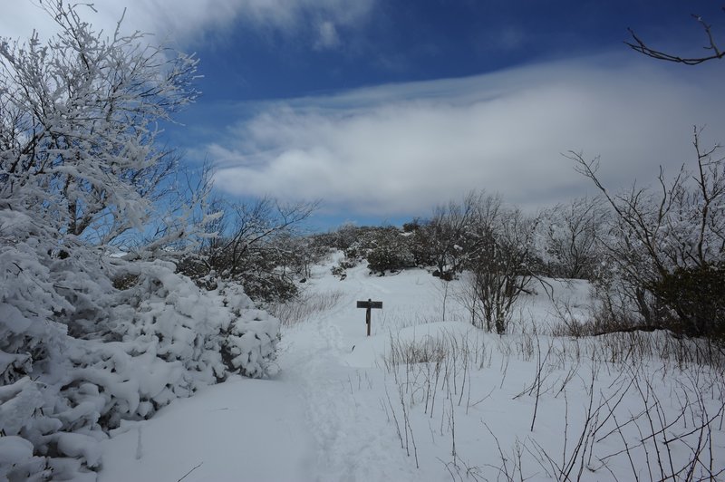 The Appalachian Trail as it runs along the ridge line.