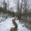 Even though the trail is relatively narrow, you'll notice that the forest doesn't crowd the trail at this point. This opens up some of the views as you climb.