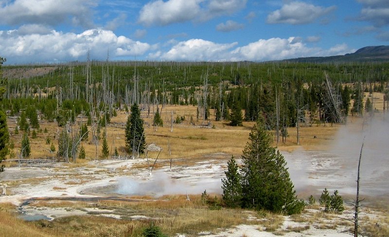 Heart Lake Geyser Basin.