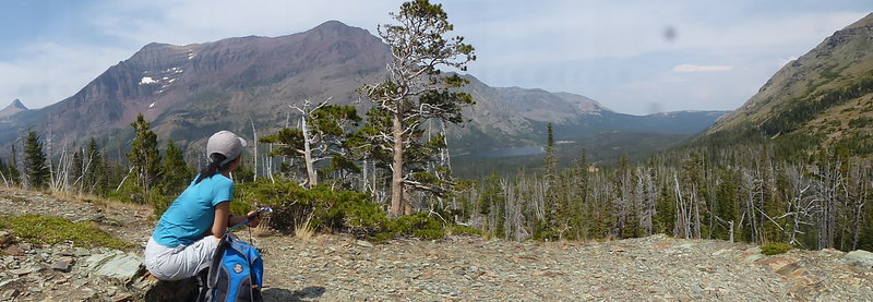 Aster Park Viewpoint - Rising Wolf Mt across the Two Medicine Valley.