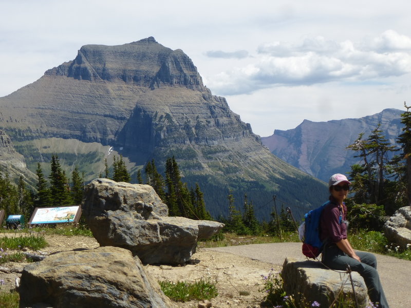 Looking at Going-To-The-Sun Mt from Logan Pass Visitor Center trails.