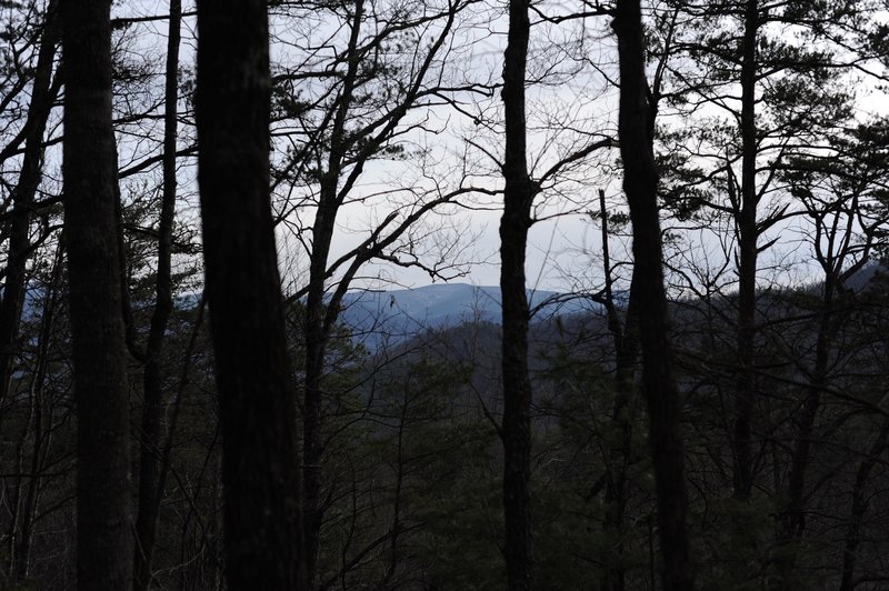 Limited view from Schoolhouse Gap as you reach the end of Scott Mountain Trail.