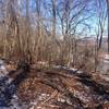 The trail along the ridge high above the Allegheny River.