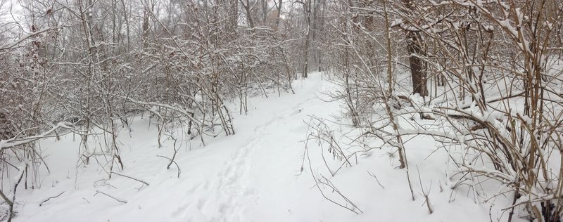 6" of fresh snow.