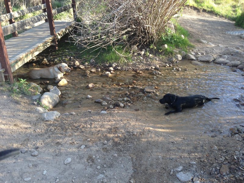 A nice watering hole at the top of Lower Hulls Gulch Trail.