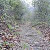 You can tell the road has been eroded as the bank rises high on the left side of the trail.