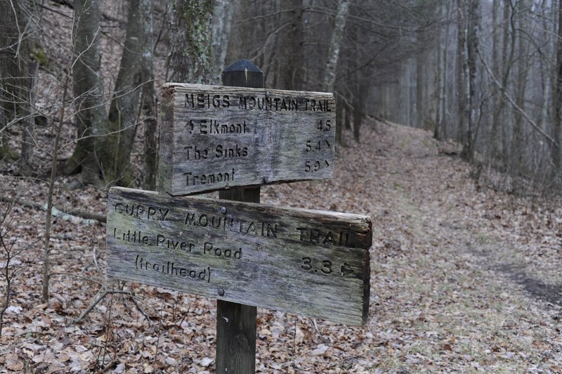 The trail ends at the Meigs Mountain Trail, where several options await you.