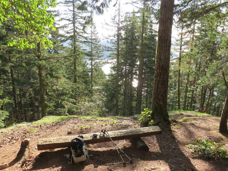 Overlook of Lake Cushman from Mt. Rose trail.