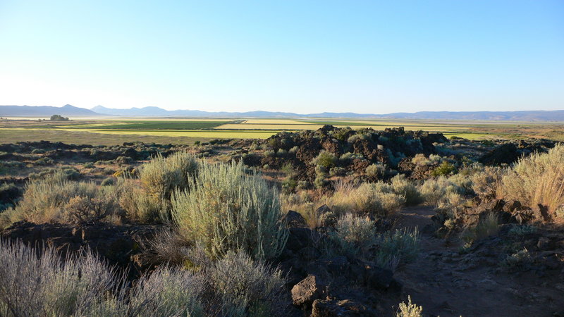 The beautiful Northern California landscape.