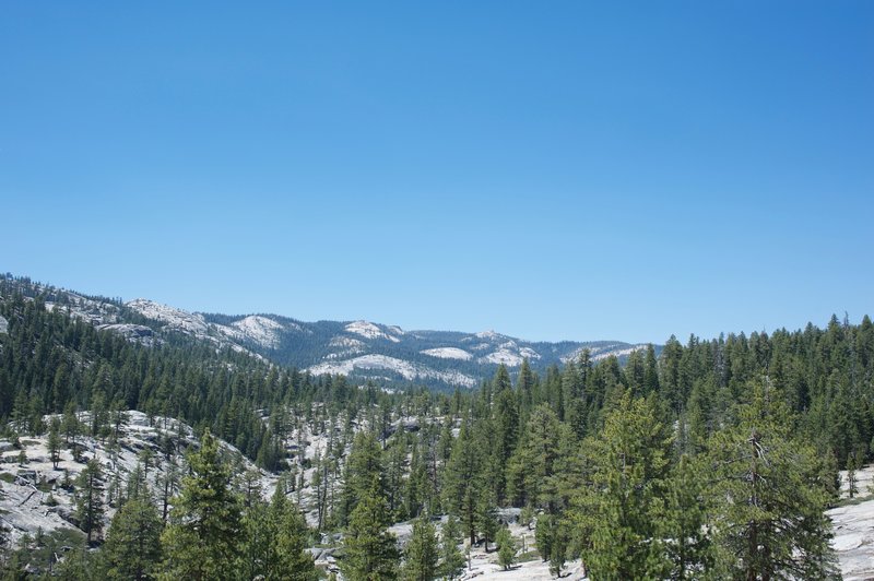 A view toward Tioga Road north of the trail.