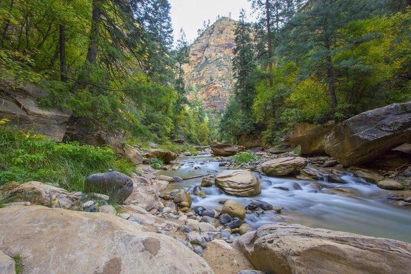 The Narrows in Zion National Park.