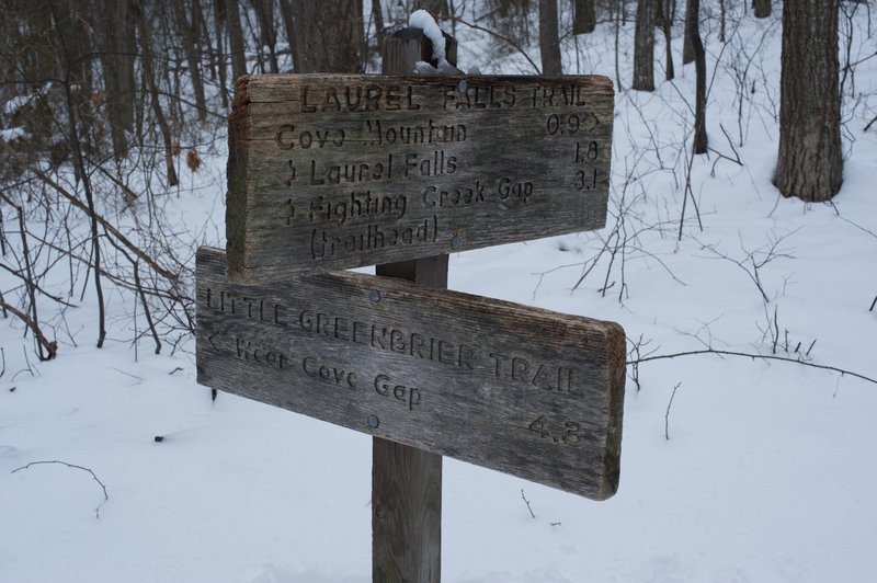 The Little Greenbrier Trail and Laurel Falls Trail meet at the end of the trail.