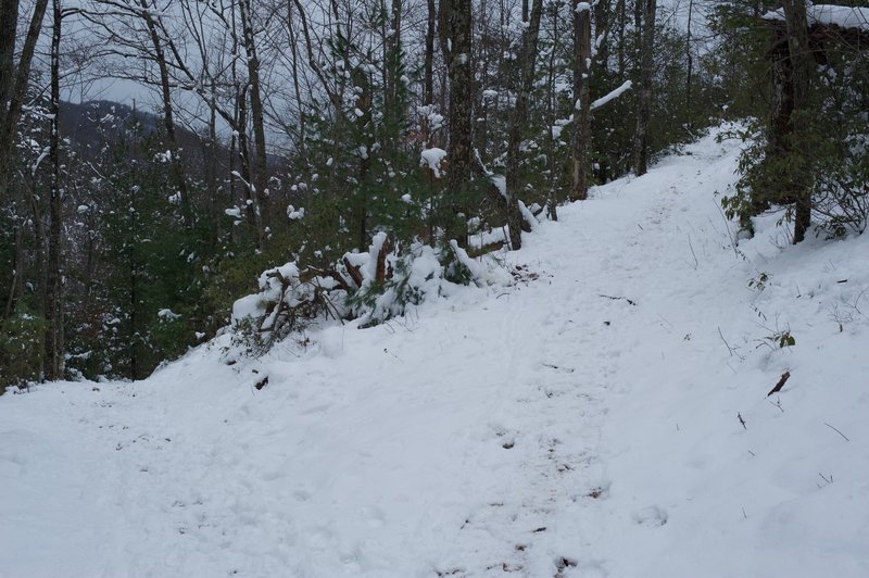 The Little Brier Gap Trail breaks off and heads downhill back to the Walker Sisters Cabin.