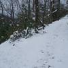 The Little Brier Gap Trail breaks off and heads downhill back to the Walker Sisters Cabin.