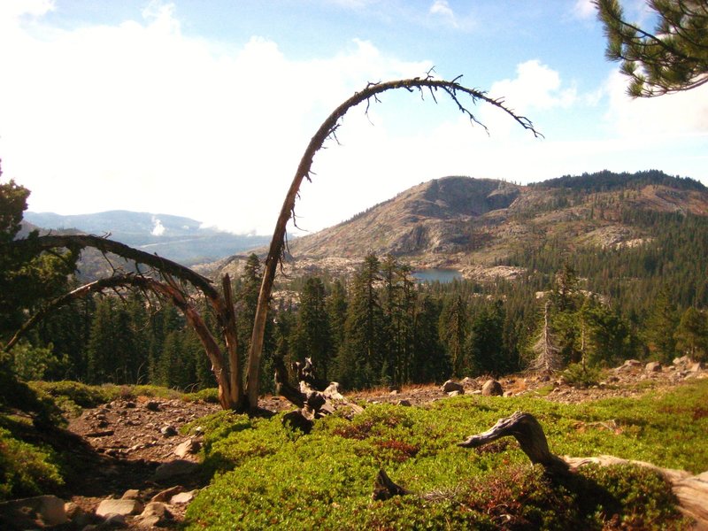 The rain finally cleared! On our way back from Five Lakes Basin. Sanford Lake/Grouse RDG/Tahoe N.F.