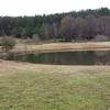 A pond and the entrance road near the Persimmon Trail.