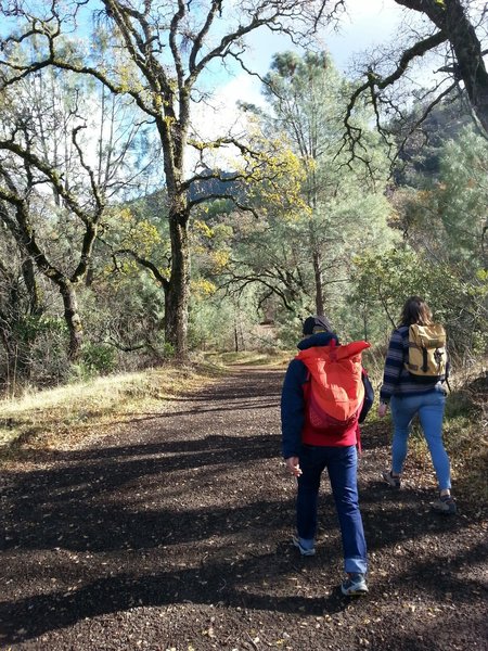 We got out of the blistery wind, found some incredible Oak, Pine, even Mistletoe on the Meridian Ridge Fire Road! Muah!