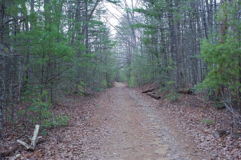 The trail is wide and flat through this area of the trail between Dorsey Gap and Schoolhouse Gap.