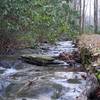 Spence Branch as it works its way toward Laurel Creek.