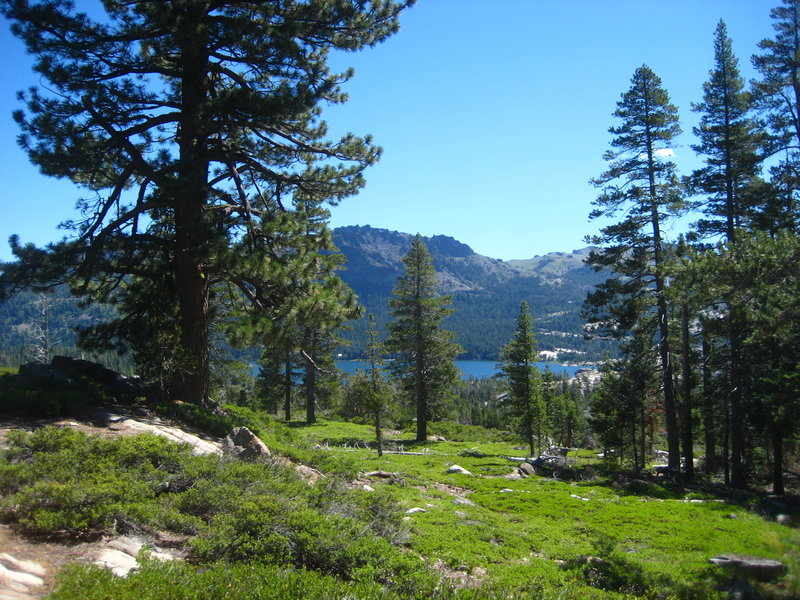 Just a few steps from the Shealor Lakes trailhead and parking area. Climbing higher, away up a ridge from Silver Lake.