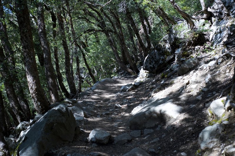 The switchbacks at the bottom of the Upper Yosemite Trail can be grueling. It's rocky and unrelenting as you climb out of the valley.