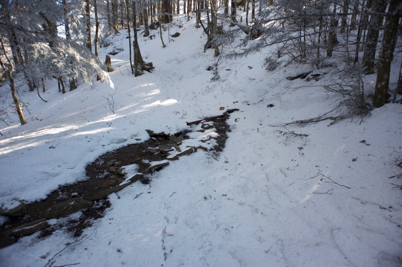 A pipe for spring water crosses the Appalachian Trail just below the Icewater Spring shelter.