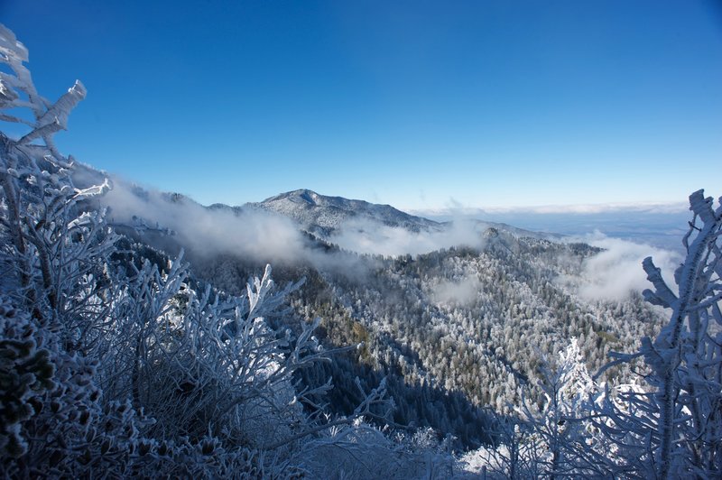 Mount LeConte after a winter storm on the AT. Clouds hug the ridges and hoarfrost covers the trees.