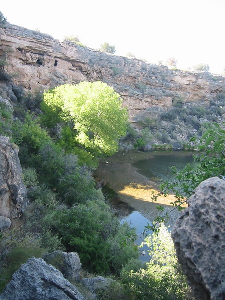 Montezuma's Well is an oasis in the desert.
