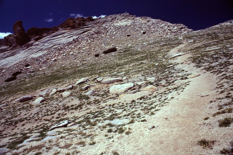 Trail up to Mt. Hoffman before it turns into more scramble than trail.