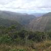 View from the Alakai picnic area.