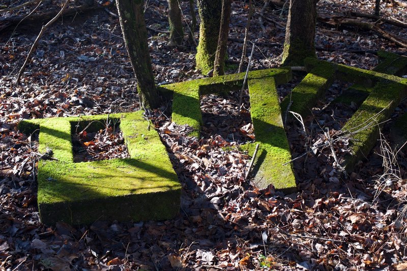 Moss covered cement blocks.