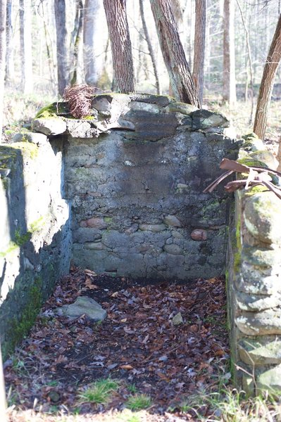 Remains at an old homesite in the Sugarlands Community.