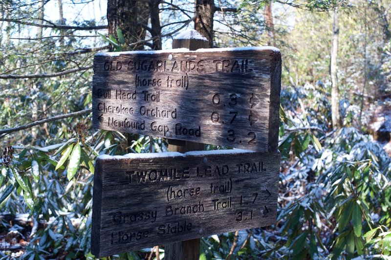 The trail junction where the Twomile Lead Trail meets the Old Sugarlands Trail.