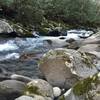 Porters Creek Trail in January.