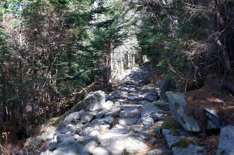 The trail as it descends from the Clingmans Dome parking lot. The rock steps make it easier to navigate this section of the trail.