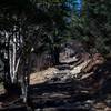 While it's a nice downhill on the way to Andrews Bald, it's an uphill climb back to the top of the trail at Clingmans Dome Parking Lot. Thanks to the work of the Friends of the Smokies, rocks have been put in places as steps to help with this climb.