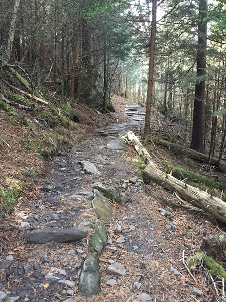 The trail gets rocky in places, so watch your step.