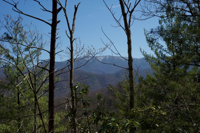 Obscured views of the Smokies Crest from the trail.