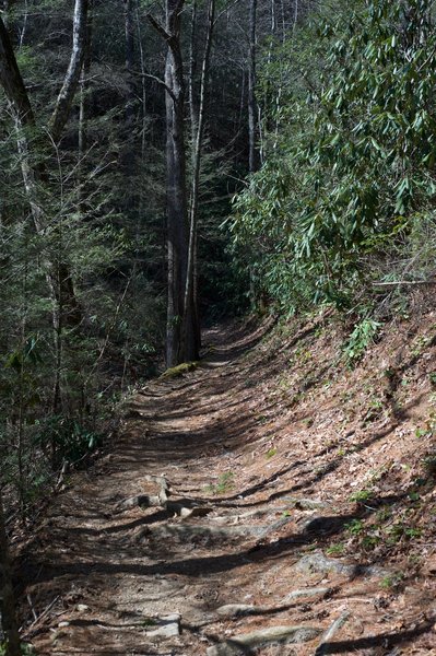The trail is strewn with rocks and roots as it follows the ridge.