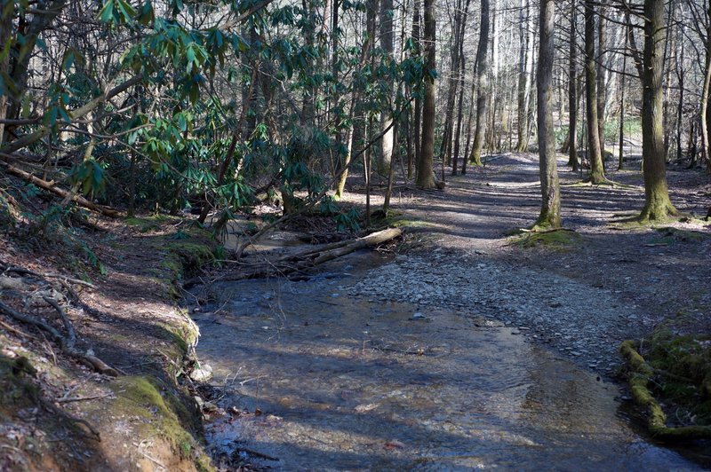 The trail crosses a branch of Laurel Creek via a log or rock hop.