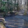 The trail crosses a branch of Laurel Creek via a log or rock hop.