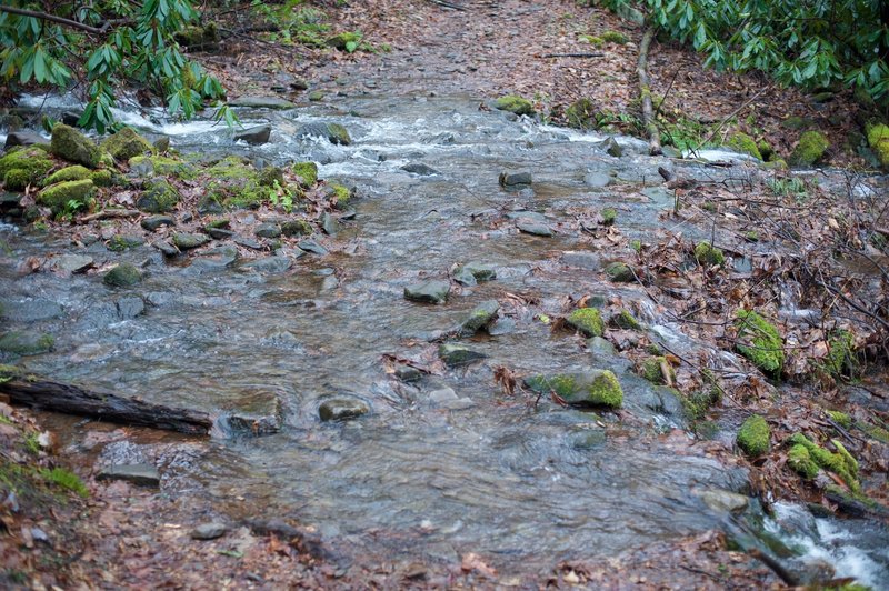 Water crossing the trail. Rock hops are required to get across a couple of branches that cross the trail.