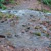 Water crossing the trail. Rock hops are required to get across a couple of branches that cross the trail.